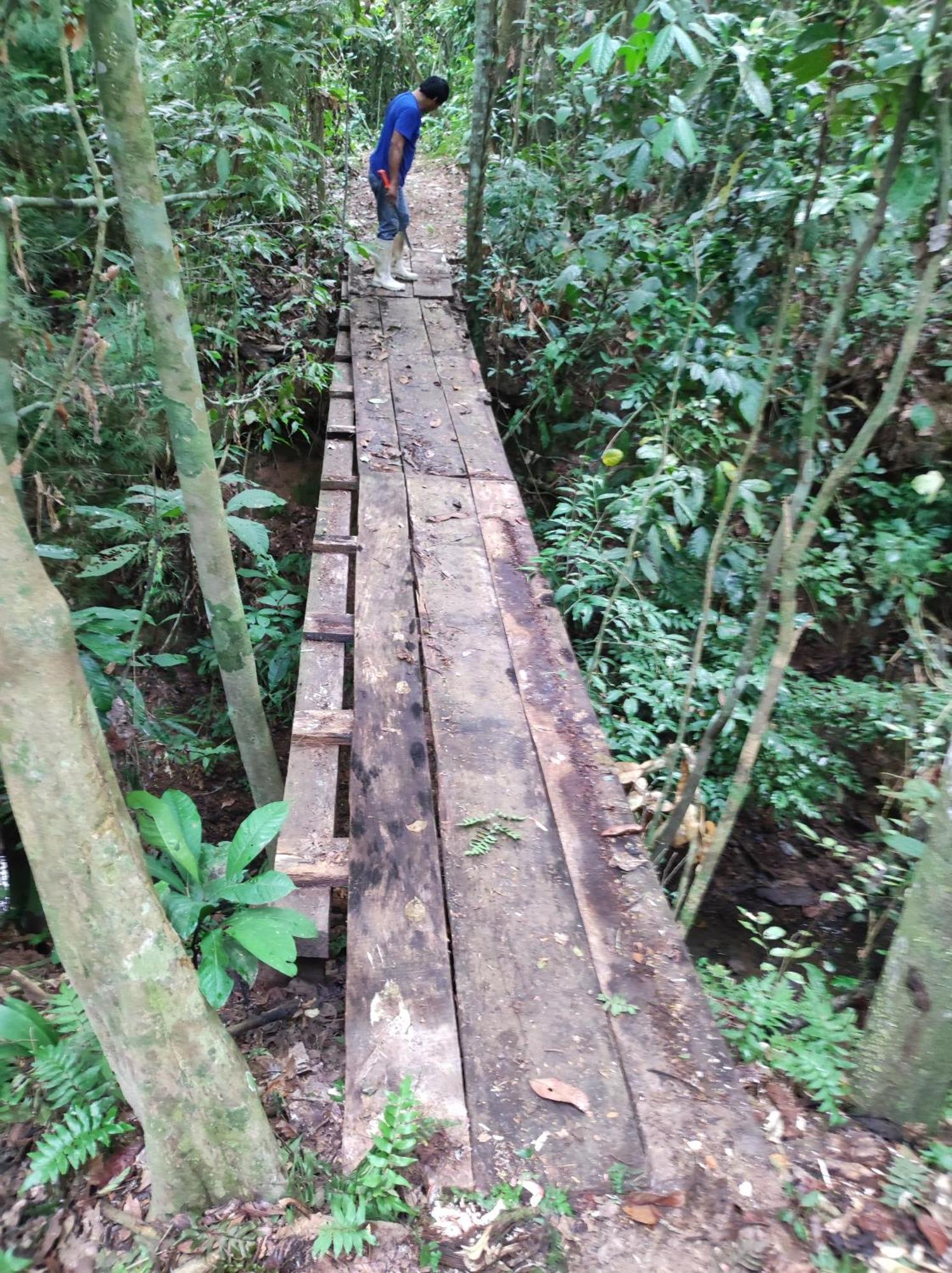 Хостел Castana Amazon Park Пуэрто-Мальдонадо Экстерьер фото