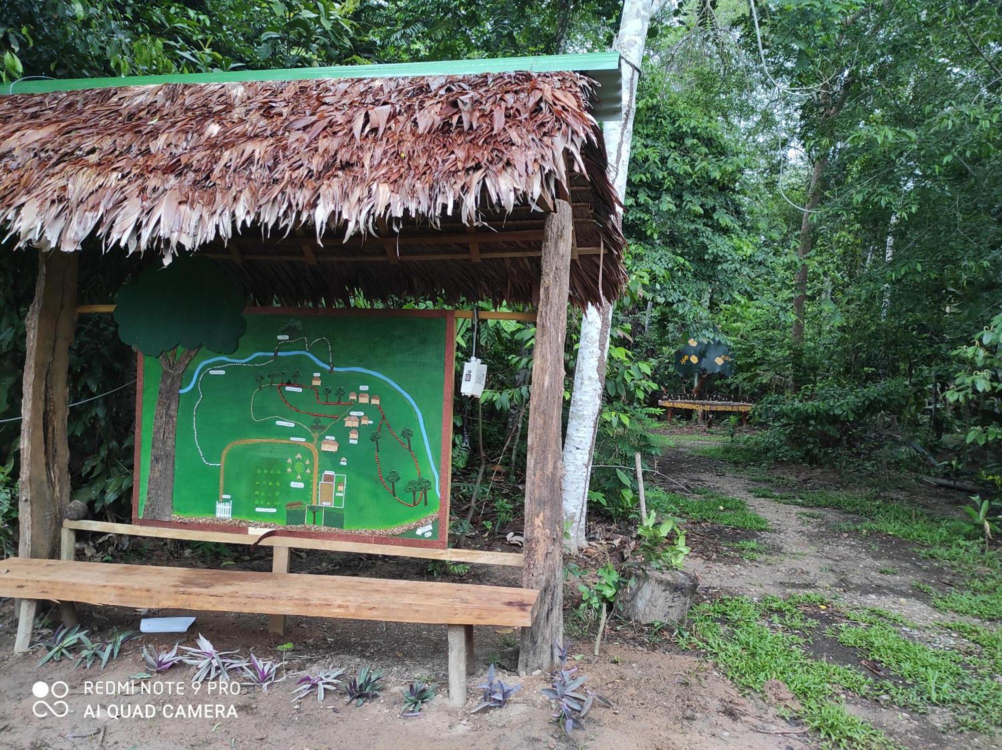 Хостел Castana Amazon Park Пуэрто-Мальдонадо Экстерьер фото